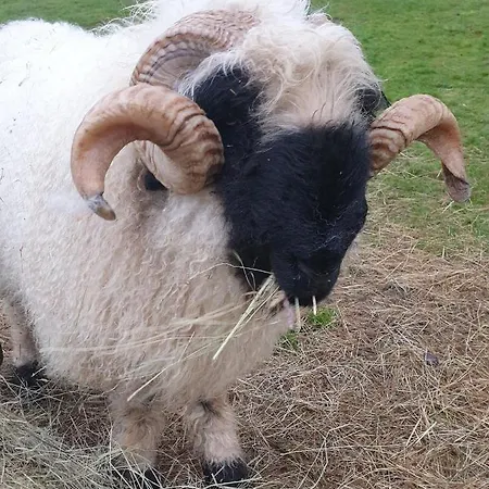 Feriehus Wildberry Orgères-la-Roche