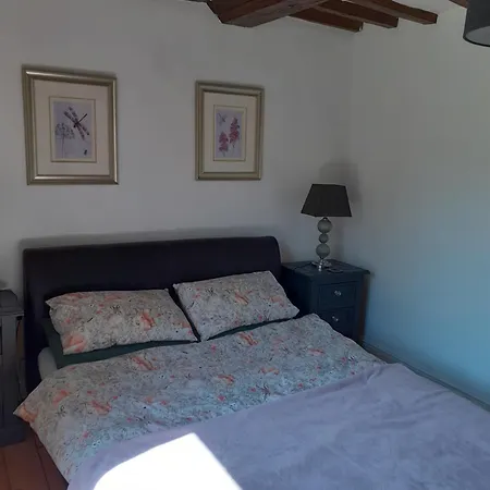 Wildberry Σπίτι διακοπών *