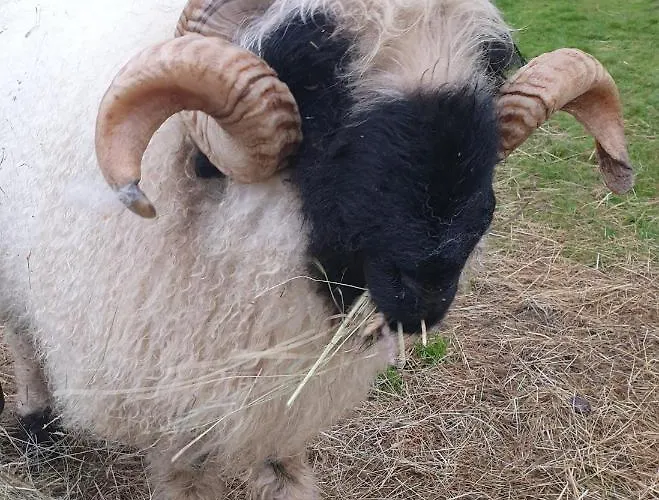 Сasa de vacaciones Wildberry Orgères-la-Roche